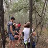 ABA March 2019
