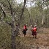 ABA March 2019